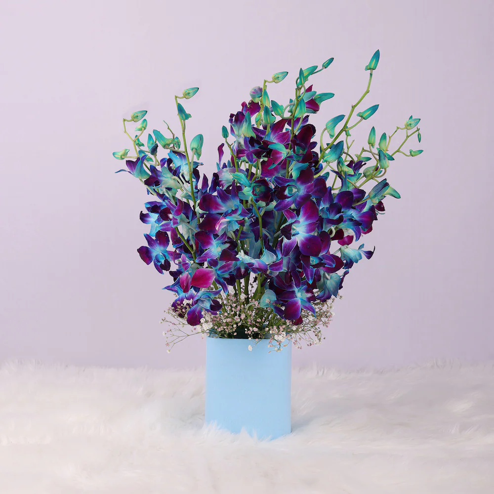 flower-6