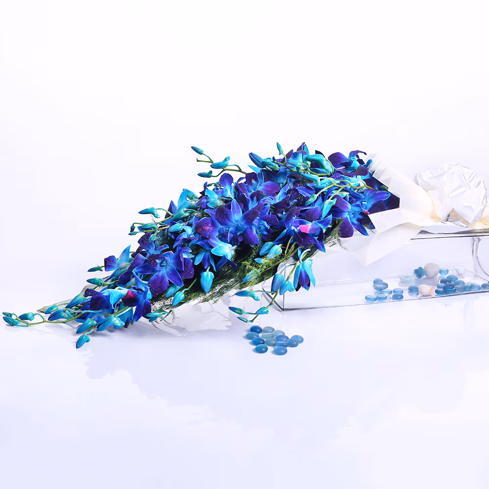 flower-6