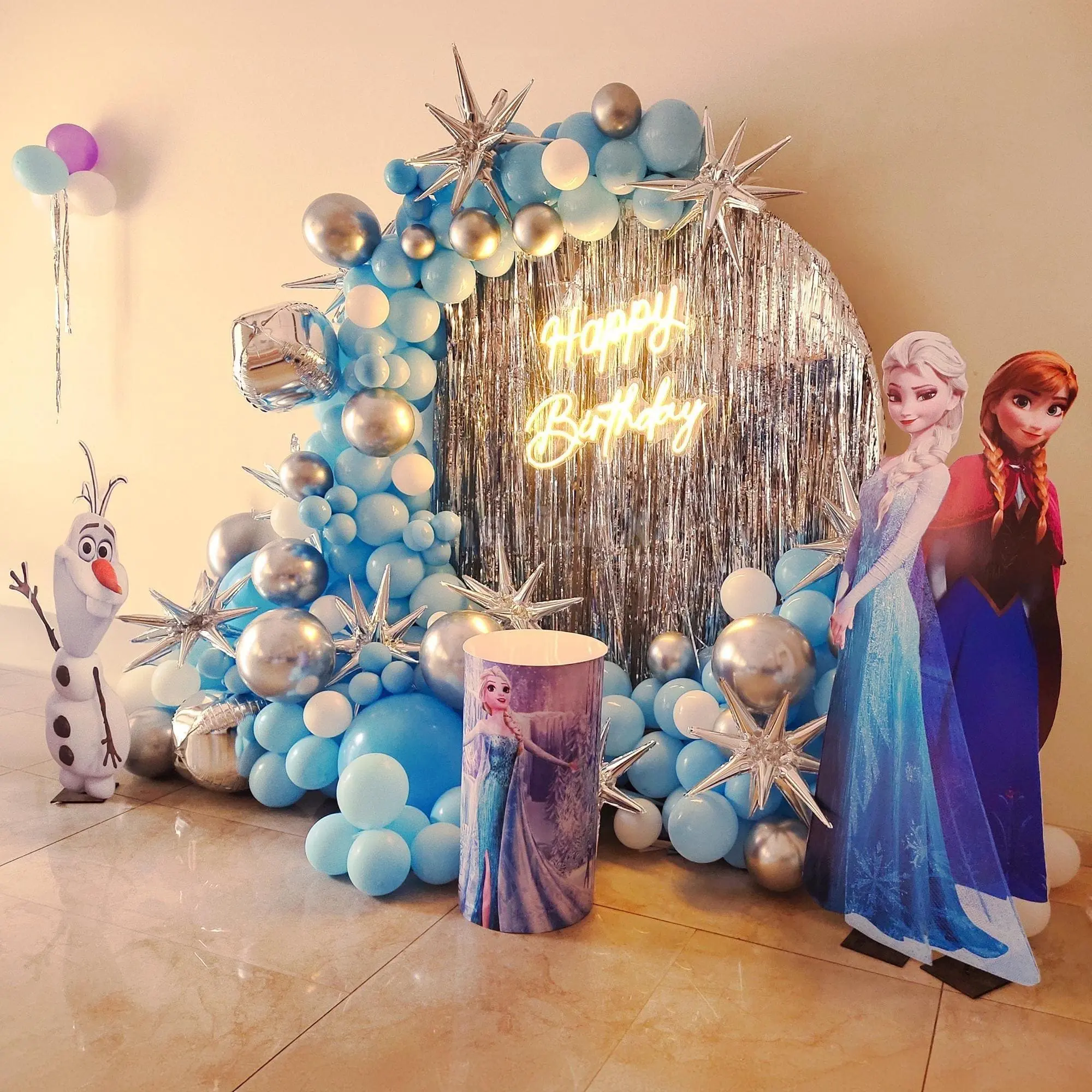 Disney Frozen Theme Decoration